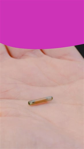 POV: You're reunited with your cat, all thanks to their microchip. Check your details are up to date. | Cats Protection