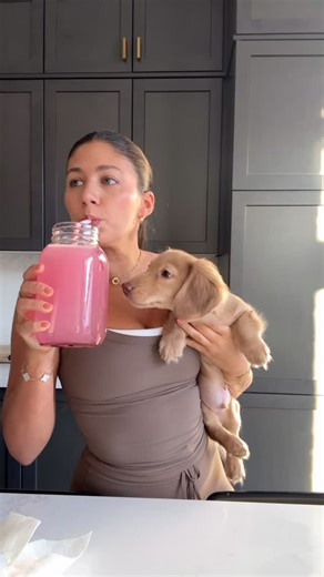 Vanessa Mauro on Instagram: "✨Productive Morning as a holistic nutritionist with a new puppy!✨ this has truly been my favourite era but it has come with some lifestyle changes that I am just embracing. I can’t wait to jump back into work next week with my new assistant 🐶🤎 I have some discount codes for you below!👇🏼 @openfarmpet code: MINICHARLIE to save @itsblume electrolytes code: VANE to save @soarorganics best matcha - code: VANESSA to save @threeshipsbeauty - clean skincare - code: vanes