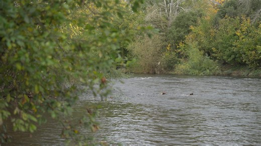 River deposition landforms - Rivers: Video playlist - BBC Bitesize
