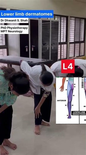Lower Limb Dermatomes:- Easiest Way to Remember