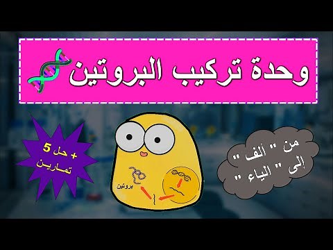 كل ما يتعلق بوحدة تركيب البروتين [ شعبة رياضيات + شعبة علوم تجريبية ] . من ألف إلى الياء .