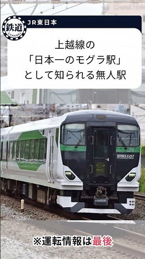 日本一のモグラ駅・標高差約70メートルの土合駅へ！ 臨時特急「谷川岳もぐら」「ループ」「山開き」運転日時（2026年夏）