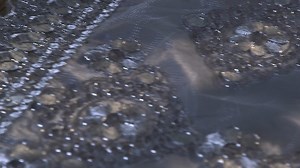 Watch Grey Dining Table Runner 72 Inches Embroidered on Amazon Live