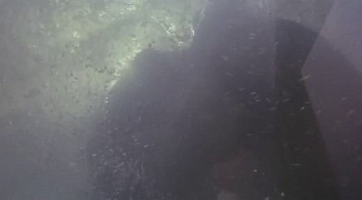 Iris - Egy csodálatos női elme 2001