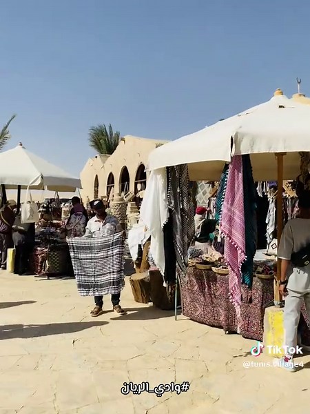 Discover Wadi El Rayan Nature Reserve in Fayoum, Egypt