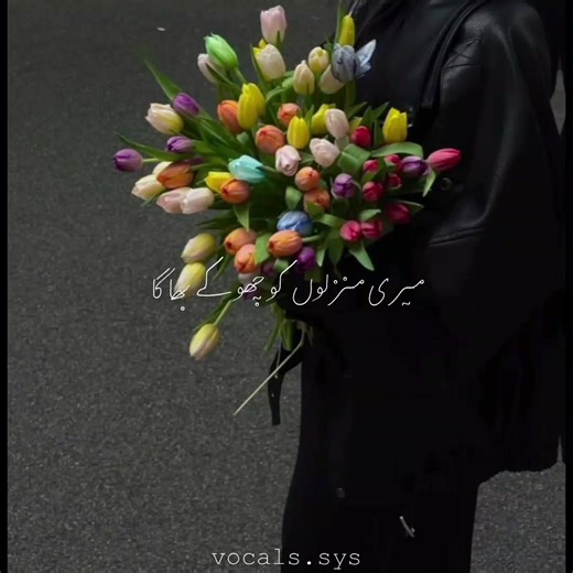 Vocals Only: A Unique Musical Experience