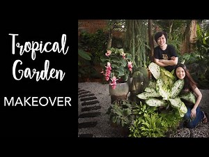DREAMY Tropical Garden DIY Makeover with 14 Garden Design & Plant Care Tips