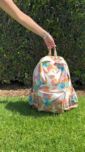Summer Adventures Billabong Backpacks