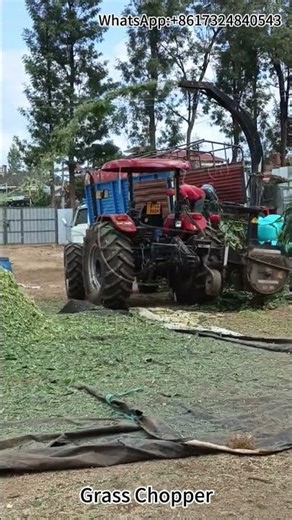 Silage Chopper in Action | Efficient Animal Feed Processing Machine Demonstration