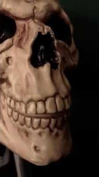 Why Did the Alien Bring A Pencil To The Party?