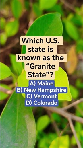 Which U.S. state is known as the “Granite State”?