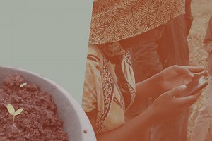 Artemis project | Alliance Bioversity International - CIAT