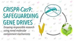 How Scientists Are Trying to Keep Genetic Engineering From Ruining the World