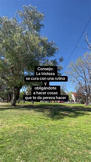 Consejo para la tristeza