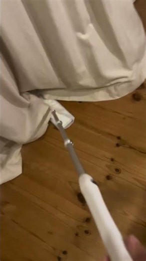 c'est magnifique vidéo chat
