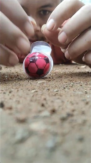 Millipedes apparently really like magic red eyeballs #millipede #millipedes #shorts
