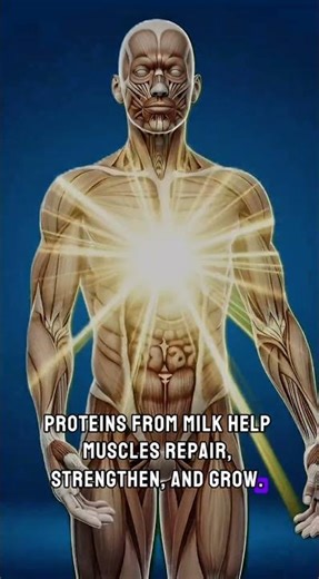 What Happens Inside Your Body After Drinking Milk – Full Breakdown #MilkSideEffects #viral #science