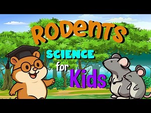 Rodents | Science for Kids - Videos For Kids