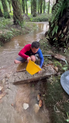 86K views · 854 reactions | easy way to find gold in the river | Nepri Andries | Facebook
