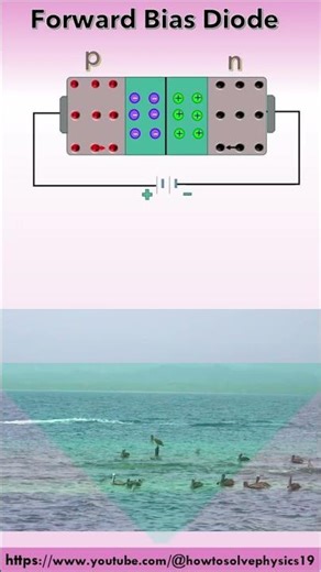 The Shocking Truth About Forward Bias Every Investor Needs