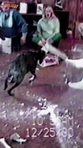 You Will Never Guess What Went Wrong at This 1995 Birthday Party #90s #AFV