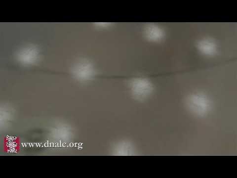 DNA Microarray