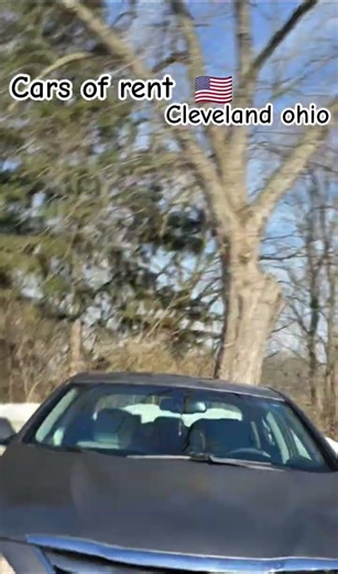 EMV AUTO RENTAILS INC #usa #carros #viral #videosviral #negocio