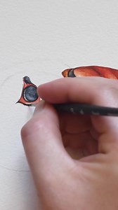 Watercolor Puffin painting Full tutorial on Patreon Preview below https://youtu.be/UUI3Z6jcu38 | Painted Wing