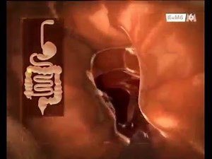 Le système digestif