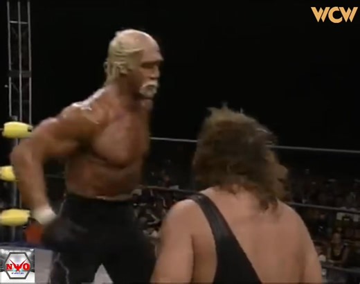 10K views · 178 reactions | The Giant (Big Show) vs Hollywood Hogan: WCW championship. | New World Organization of Wrestling | Facebook