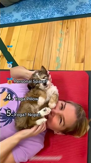 Dogs vs Yoga 😂 No Personal Space | Funniest Dog Moments #Shorts