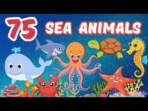 Discover 75 Sea Creatures 🦀 Names and Fun Facts for Kids