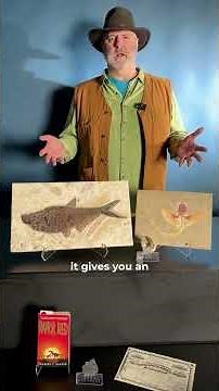 The Association of Applied Paleontological Sciences Charity Showcase Auction at Heritage