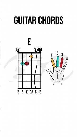 Basic Major Chords on Guitar for Beginners Diagrams + Fingering #guitarplayer #chords #guitarlesson