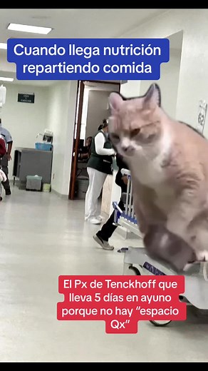 El humor en la cirugía: Memes de médicos residentes