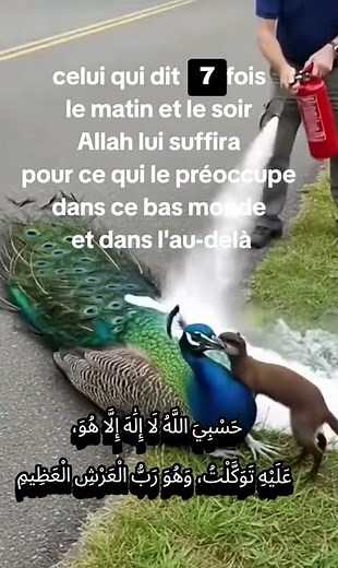 #doua du matin et soir #invocation #islam#muslim #videoislamic #rappelislam #dhikr