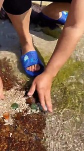 73K views · 798 reactions | Agate, Gold & Gems – Precious Earthly Treasures Explore the brilliance of agates, crystals, gold, diamonds, emeralds, and pearls—nature’s most exquisite treasures! ✨ #agate #crystal #gold #gems #diamonds #goldmines #emeralds #pearl #gemstones #preciousgems | Gold Amazing | Facebook