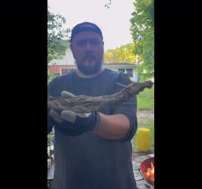 Stick Nation Check Out This Dragon Stick