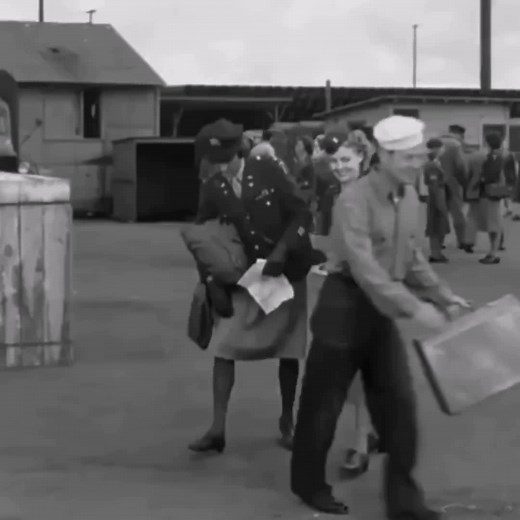 I Was a Male War Bride #carygrant #annsheridan #1940s #oldhollywood #fyp