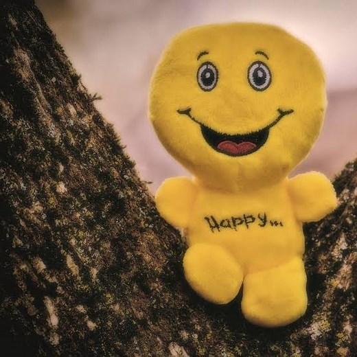 Are You ‘Bursting with Joy,’ ‘Over The Moon,’ or ‘On Cloud Nine’?: Idioms and Phrases to Describe Happiness!!