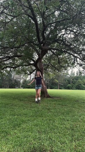 Creative Treehouse Design Ideas