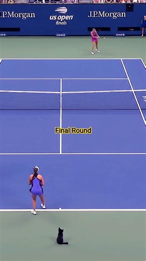 Final round match🎾 #viral #shorts #trending #explore #sportsnews #worldsports #usopen #music