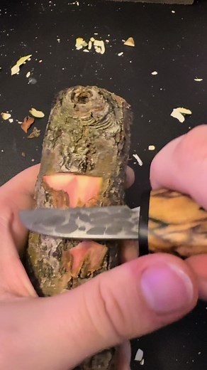 Potting a Magical Willow Spirit from Black Willow Tree