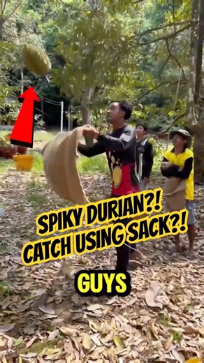 Can You Really Catch Spiky Durians Mid-Air Like This? 🤯🥭