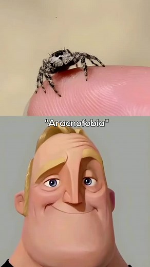 Conquer Your Fear: Arachnophobia Test and Tips