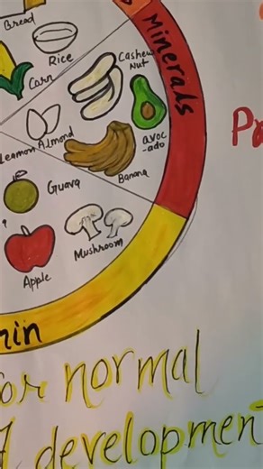 components of food 🍲
