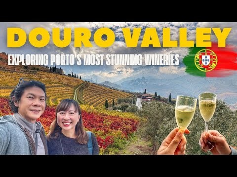 Best day trip out from Porto Portugal: Douro Valley Wine Tasting