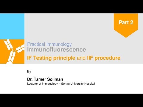IIF - Part 2: Immunofluorescence Principles and Procedures | Dr. Tamer Soliman