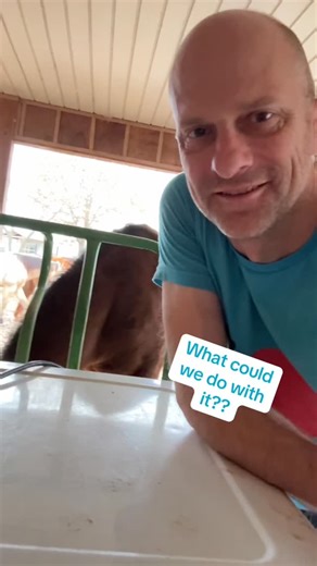 Hot Mess Ranch | Trying to figure out what we should do with our old front loader washing machine. Maybe set it up so chickens could lay eggs 🥚 in it? I... | Instagram