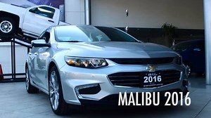 19K views · 156 reactions | ¿Ya conoces el nuevo #Malibu2016? ¡Ven a conocerlo estamos por el corredor automotriz! Su diseño renovado te fascinará. | Premier Chevrolet | Facebook